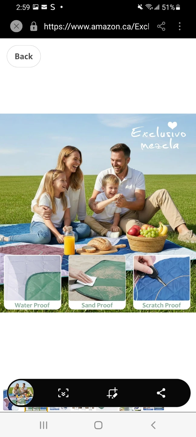 Extra Large Picnic Blanket Mat - photo 4