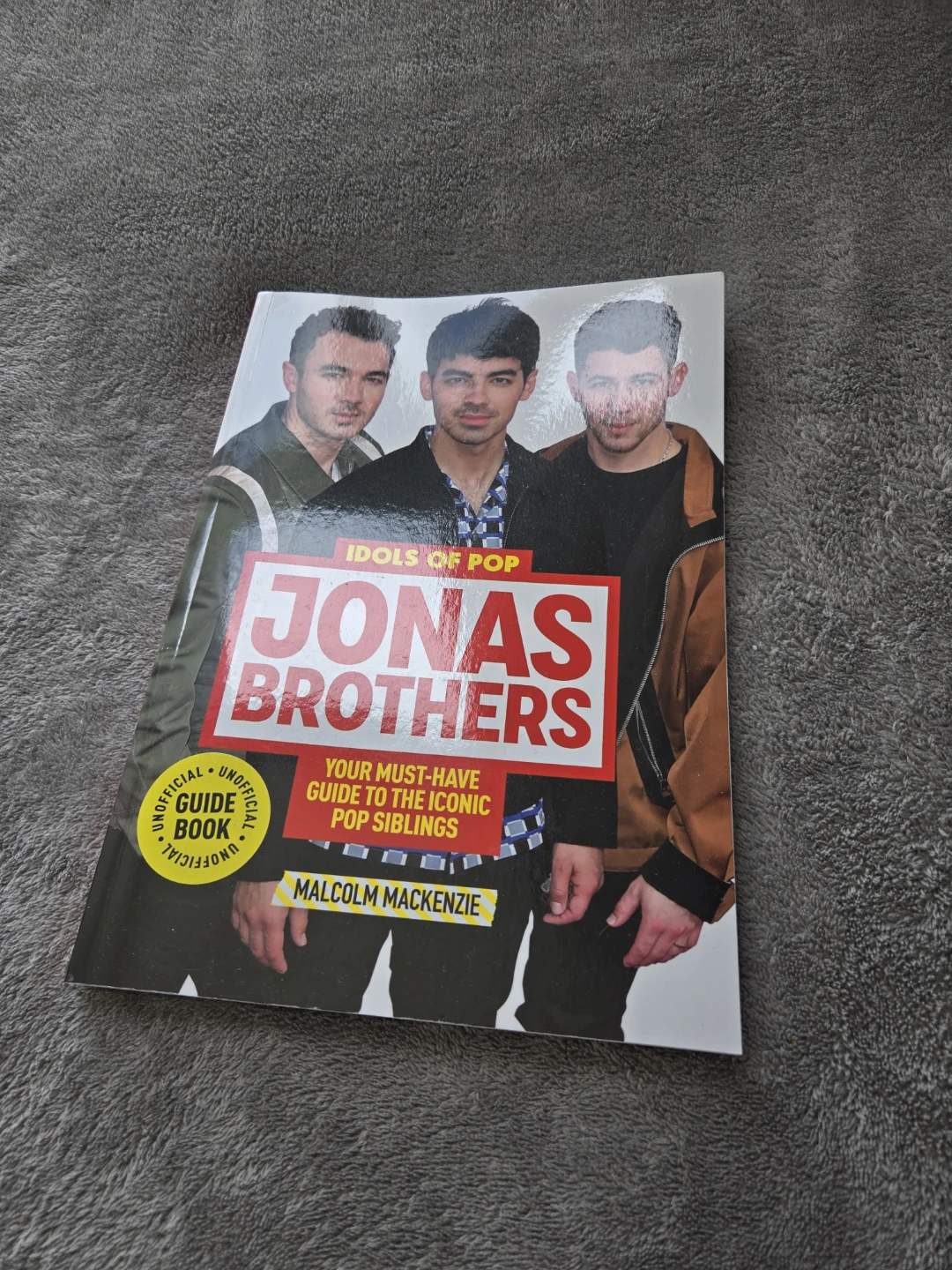 Jonas Brothers: guide book