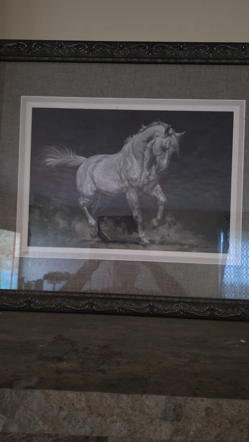 Framed Art Print of a Horse by Eva Lee