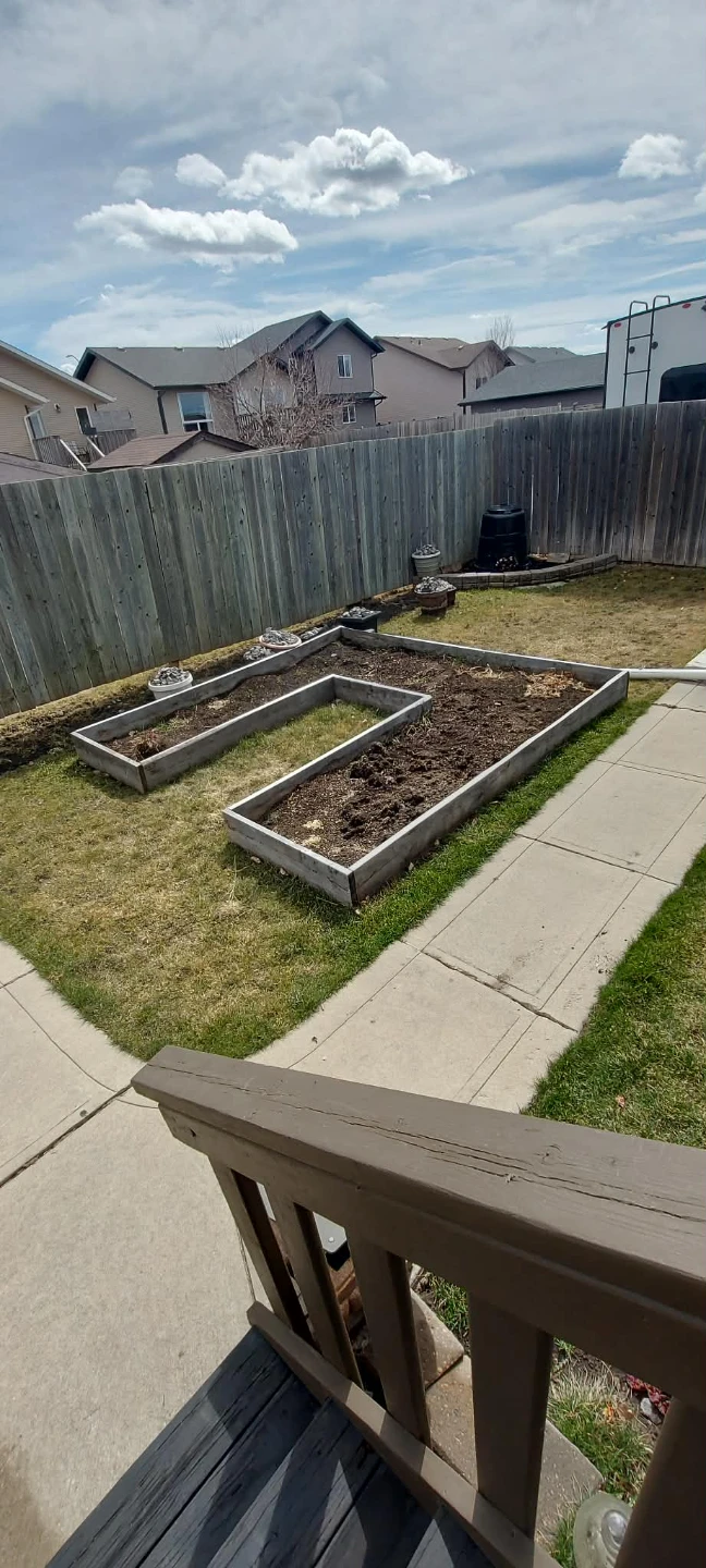Garden stuff🌱