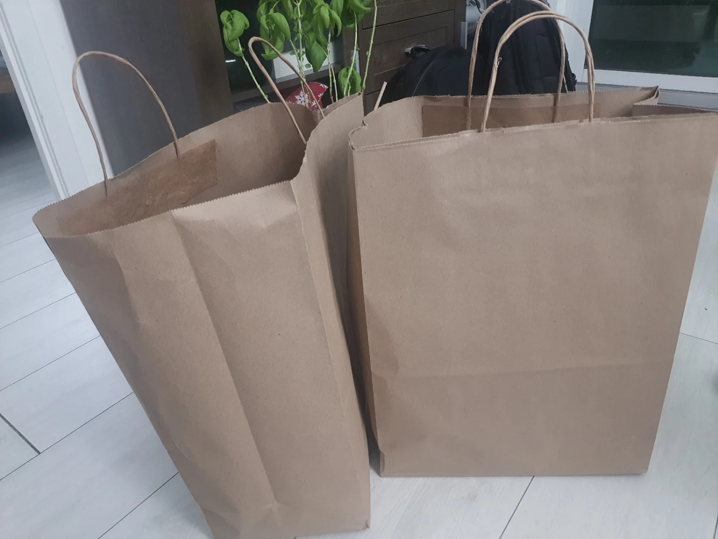 Free 5  Shopping bags