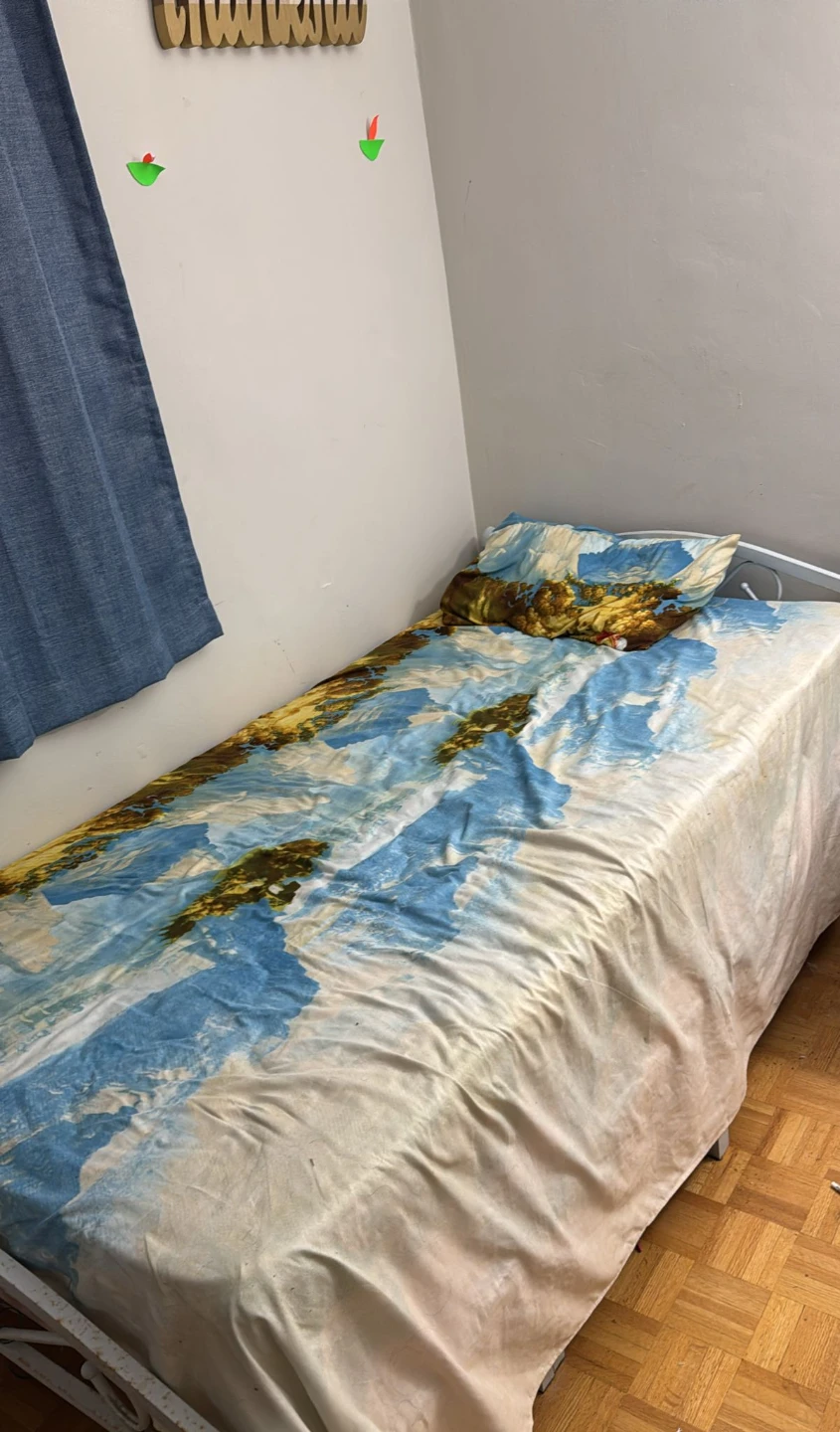 Single Bed Frame with Mattress