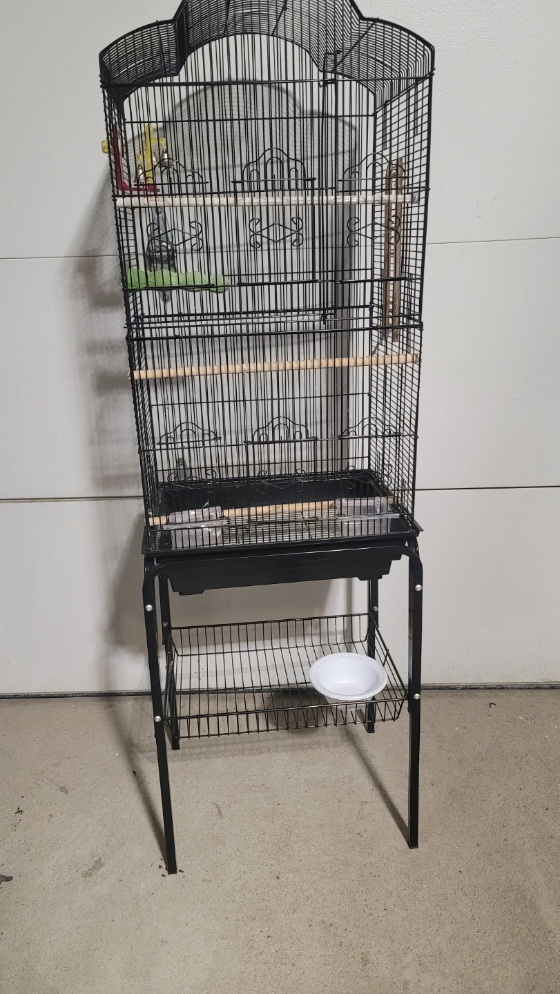 Black Bird Cage with Stand and Accessories