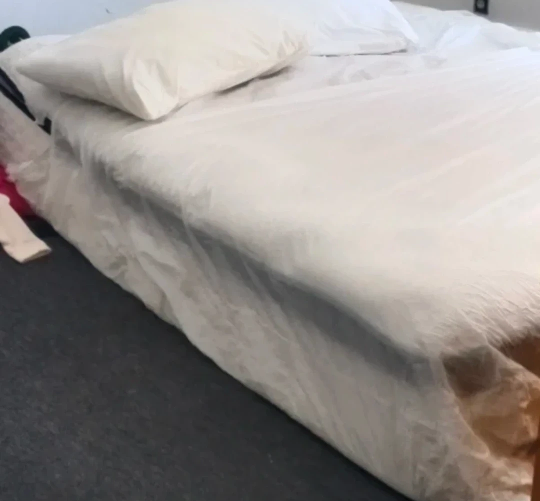 Posturepedic Sealy Mattress - photo 5