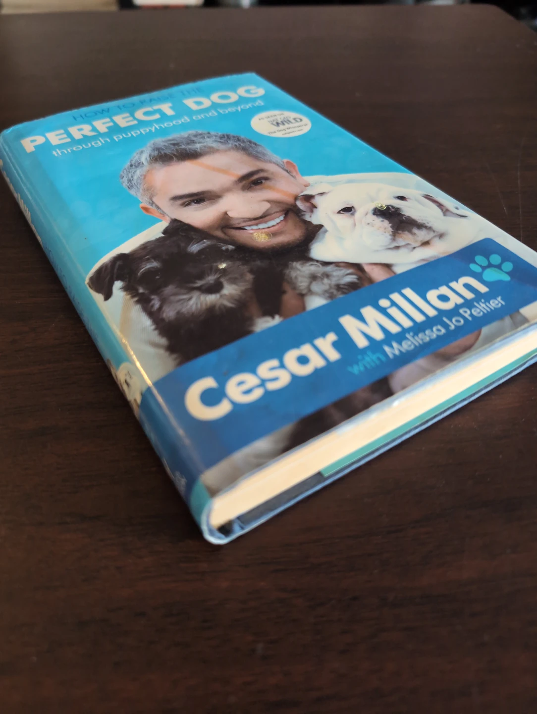 How to Raise the Perfect Dog by Cesar Millan Book