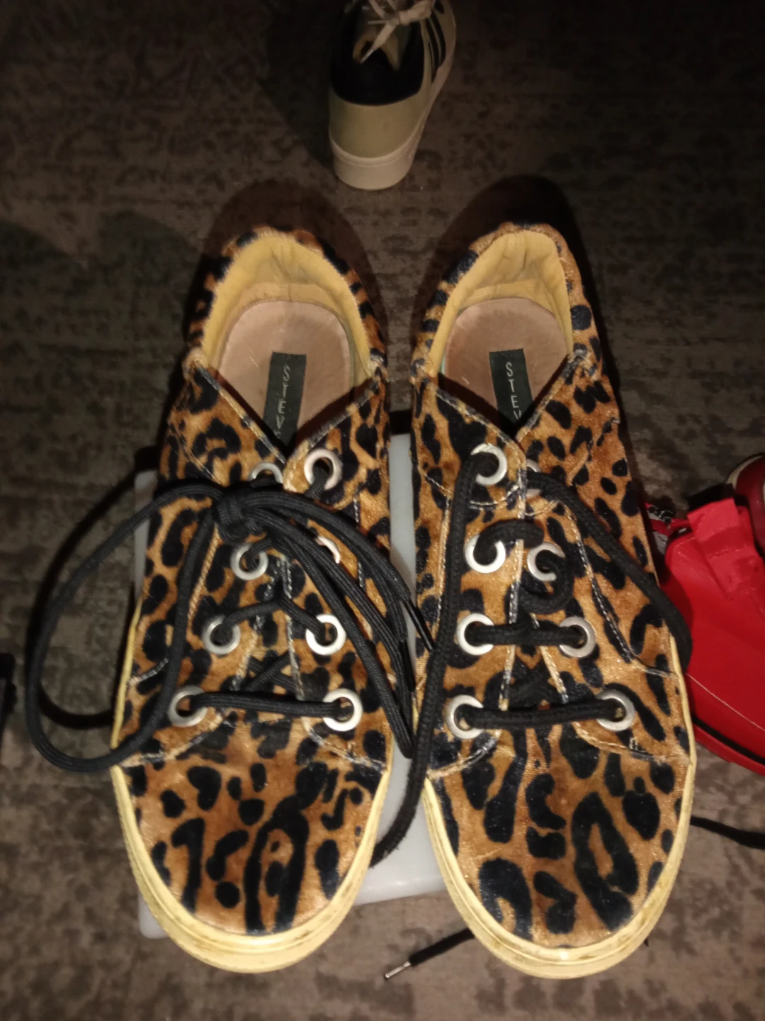 Steve Madden Leopard Print Velvet Sneakers