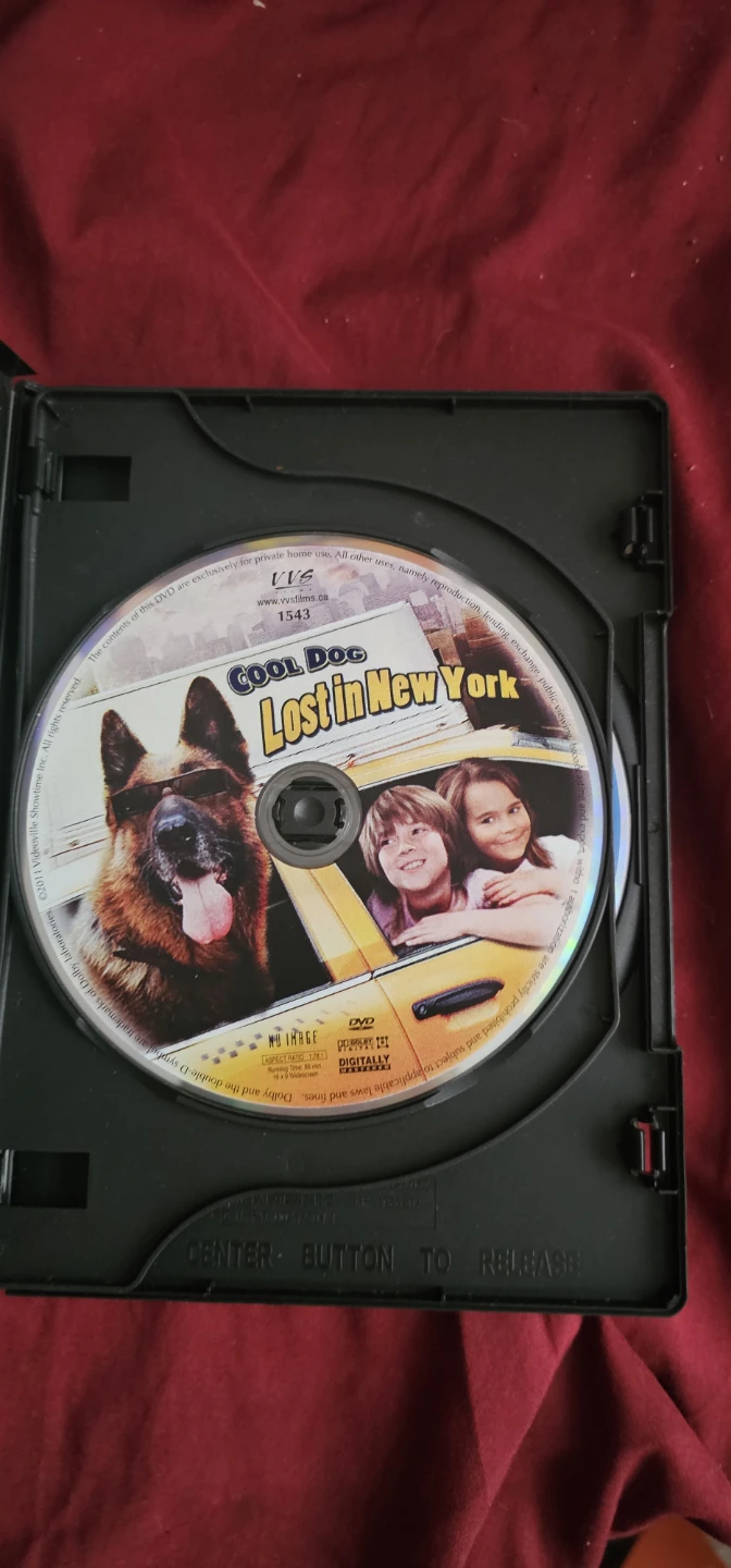 Cool Dog Lost in New York DVD - photo 2