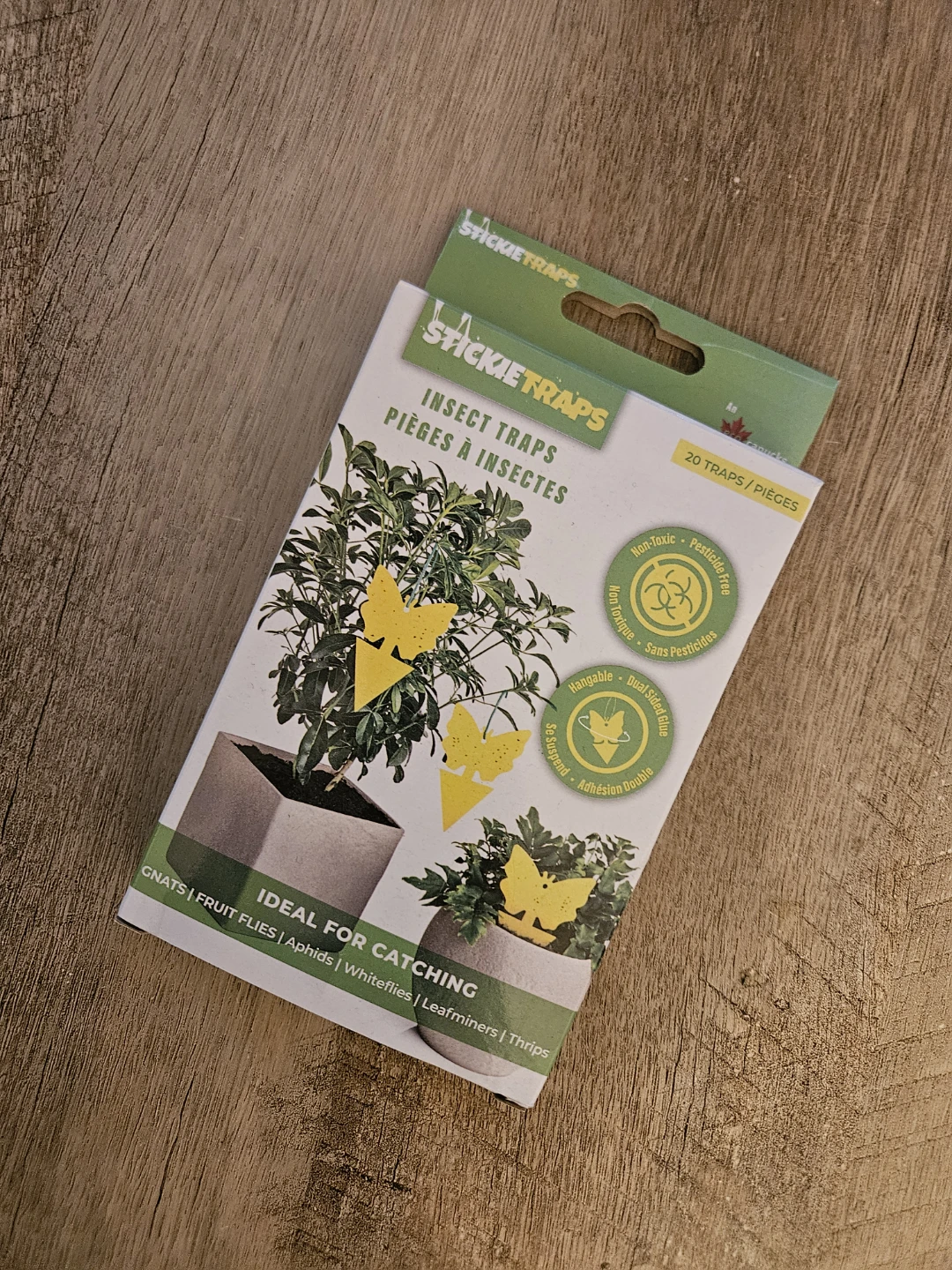 Fungus gnat traps
