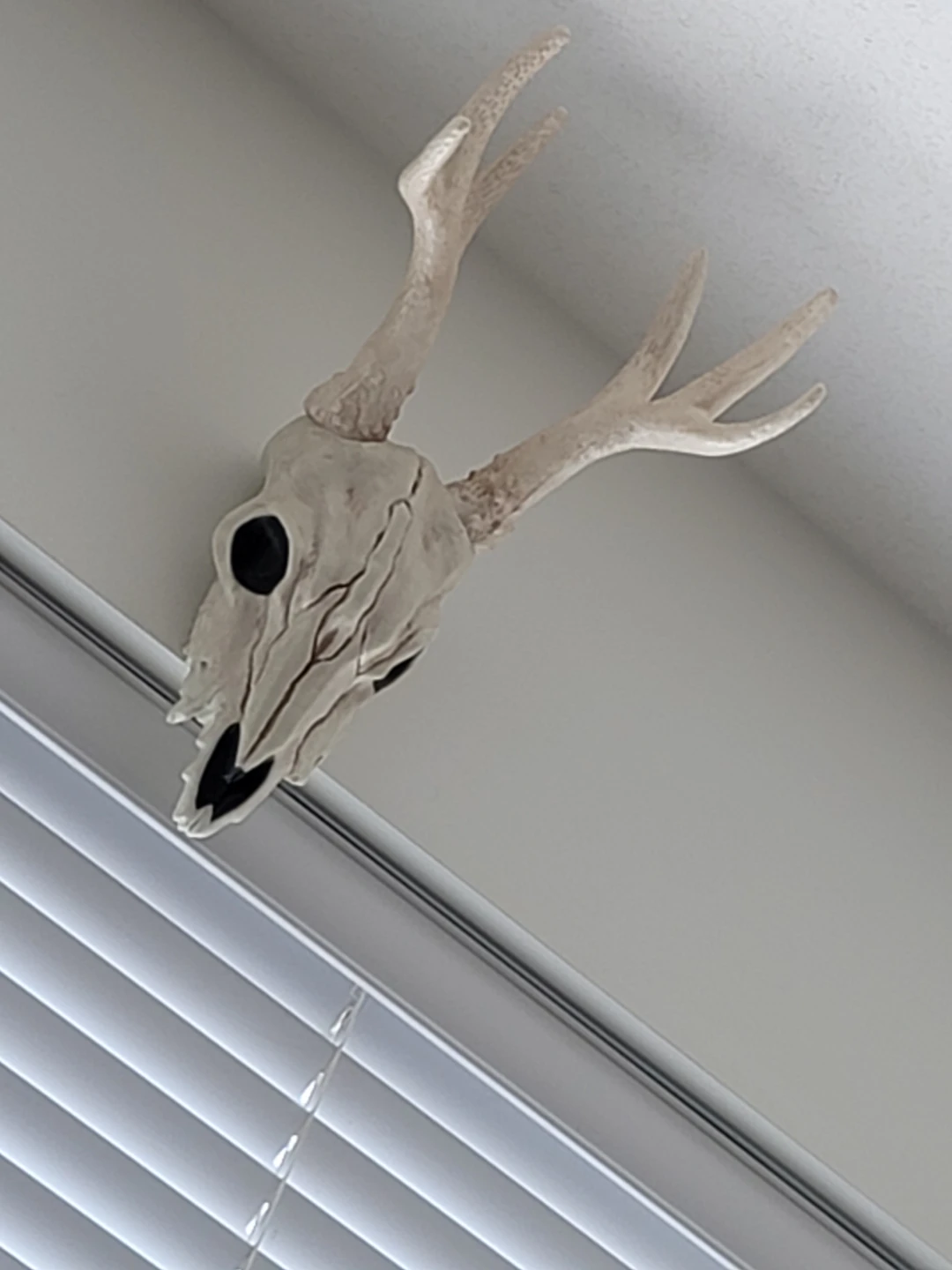 Gothic Skull Dear plus bat Owl  Made Plastic
