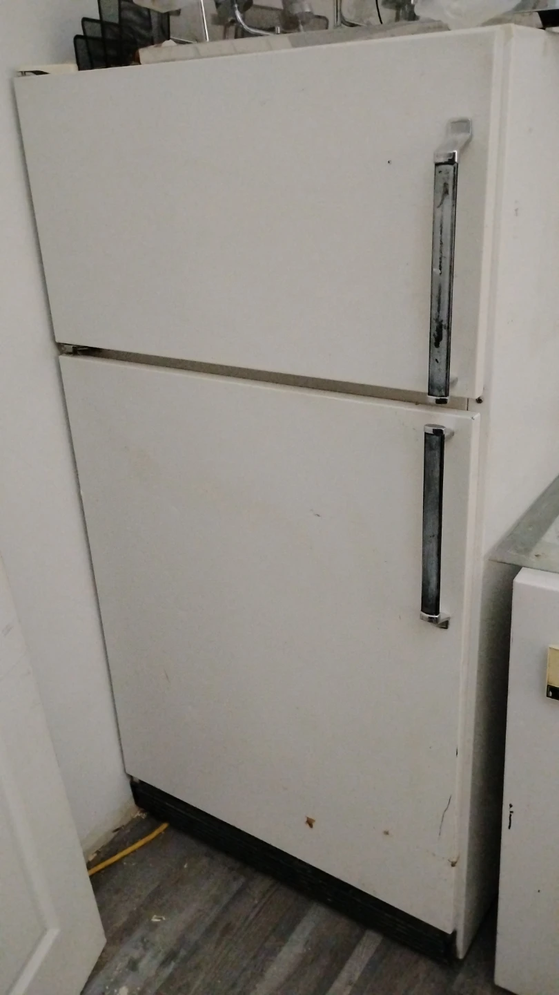 White Top-Freezer Refrigerator