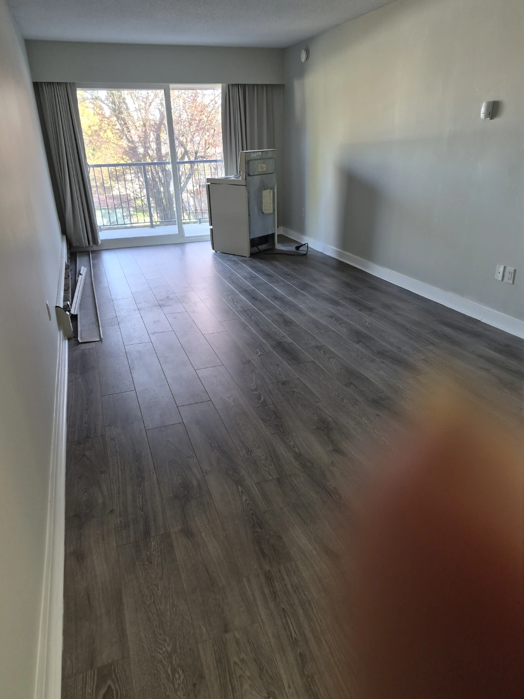 1 Bedroom in White Rock $1500