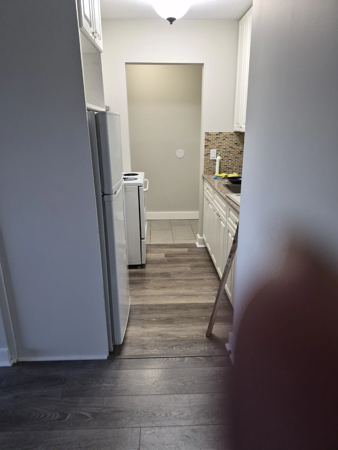 1 Bedroom in White Rock $1500 - photo 5