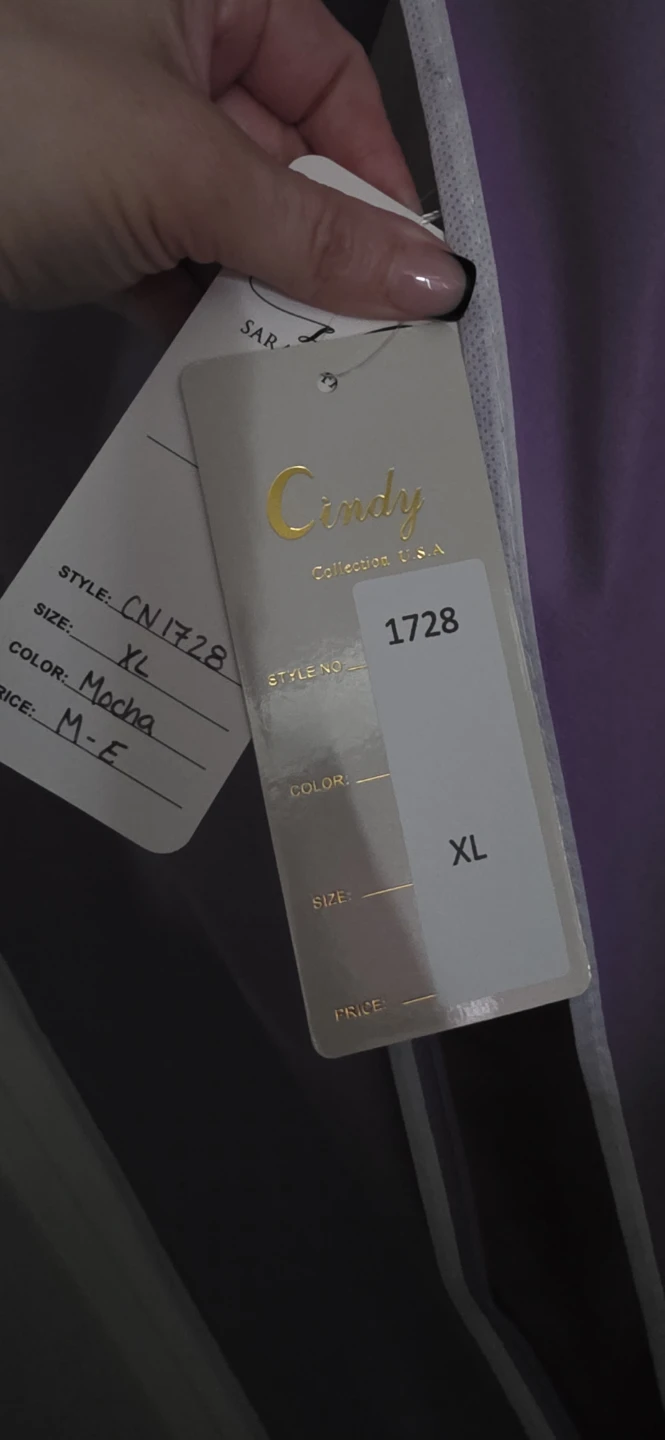 Cindy Collections CN 1728 Prom Dress - photo 3