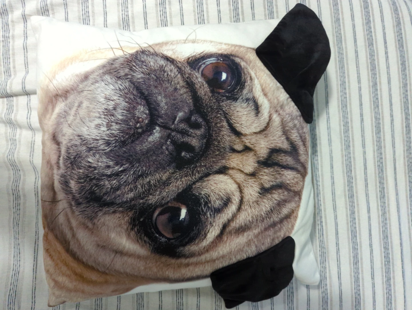 Decorative Pug Face Pillow