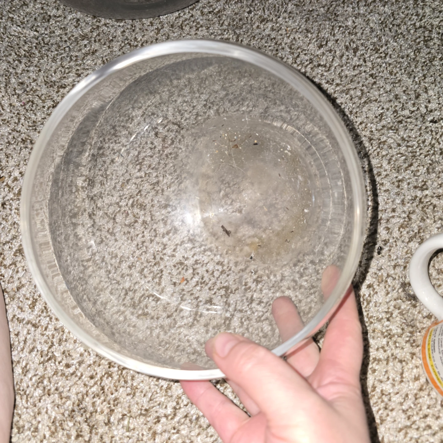 Glass Bowl