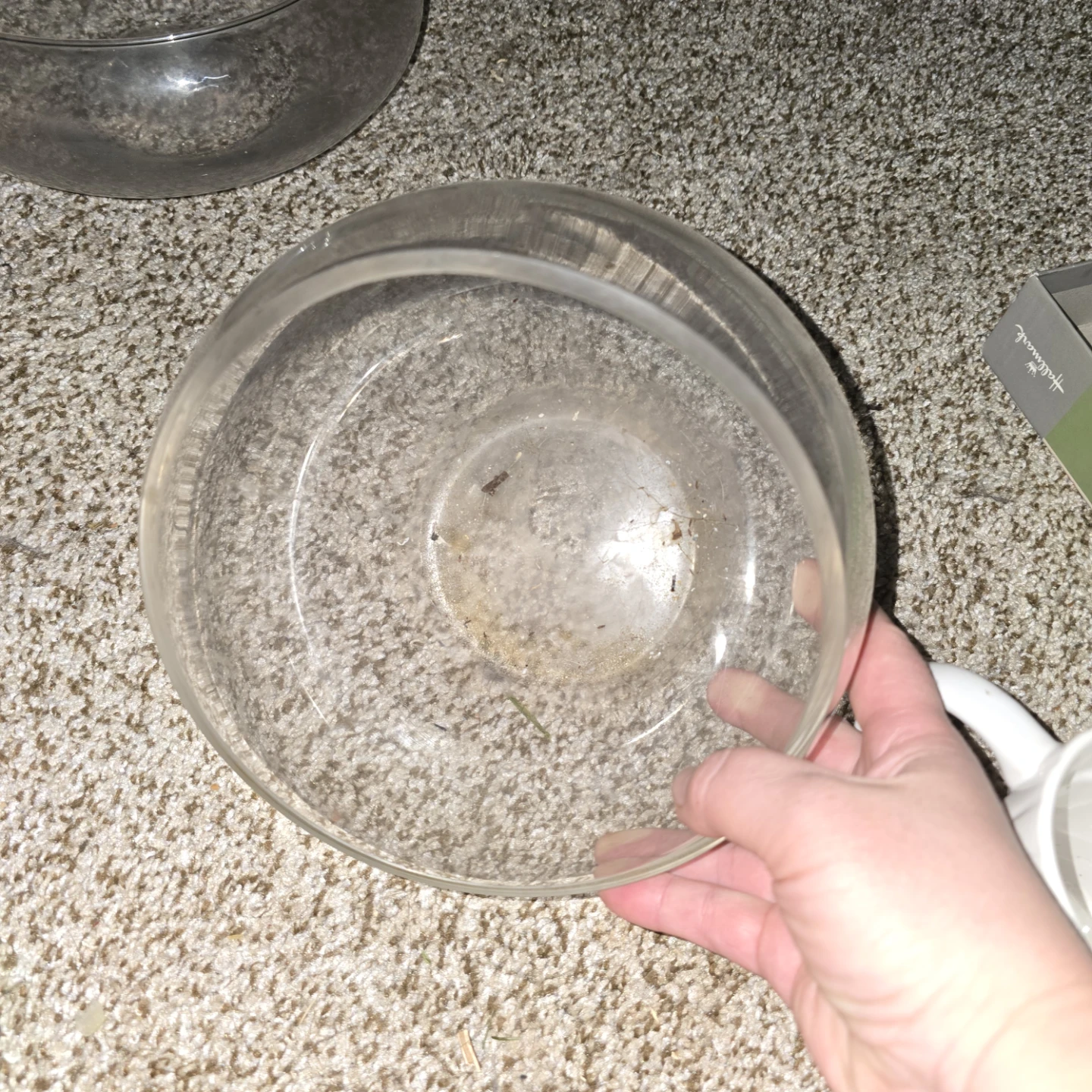 Glass Bowl - photo 2