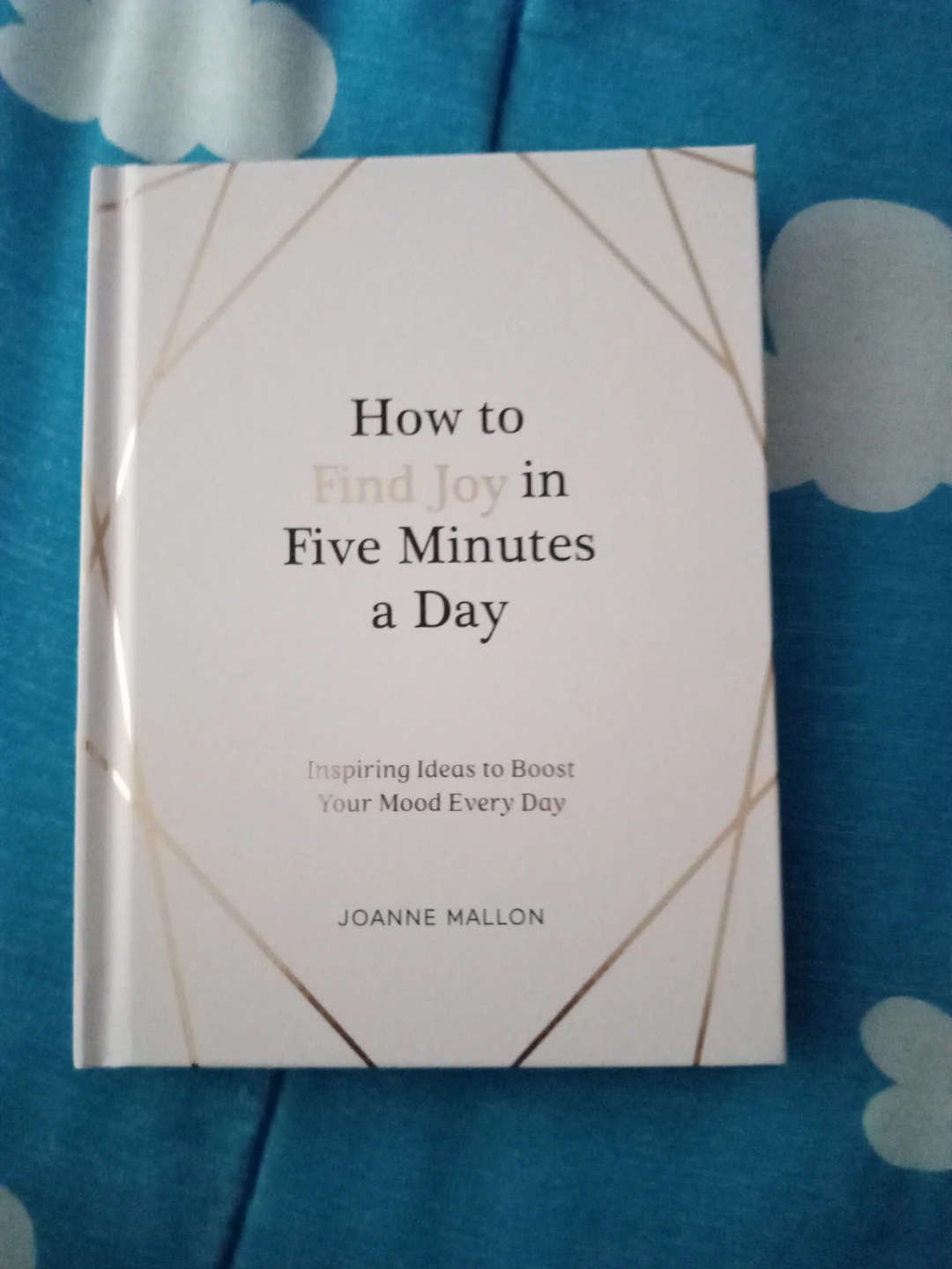 How to Find Joy in Five Minutes a Day Book by Joanne Mallon