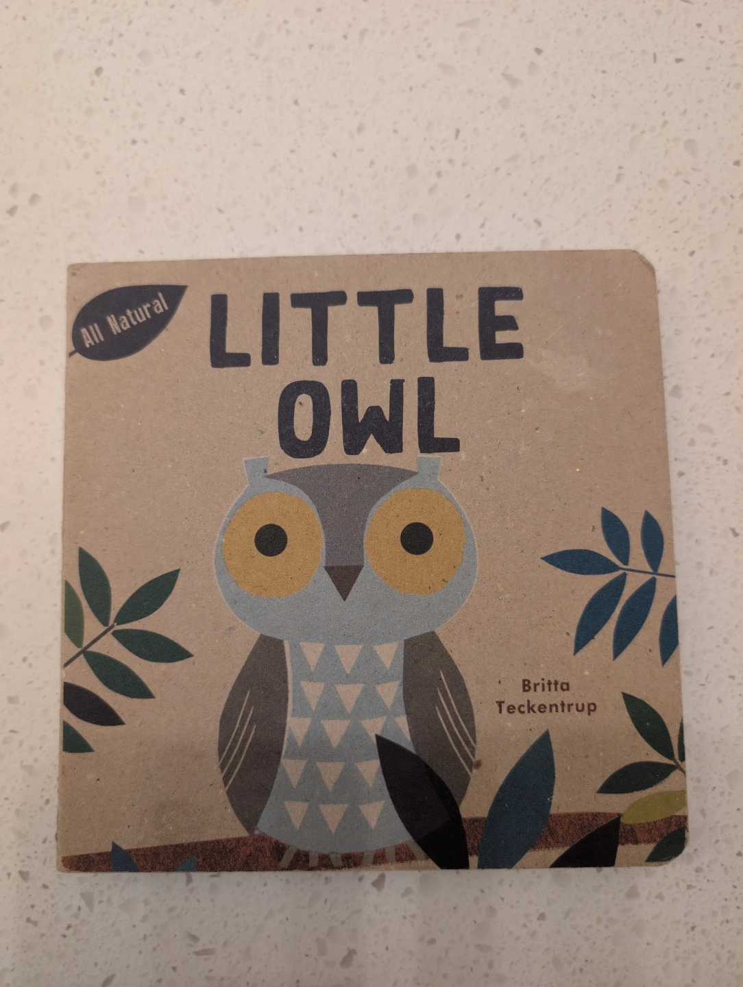 Little Owl Board Book by Britta Teckentrup