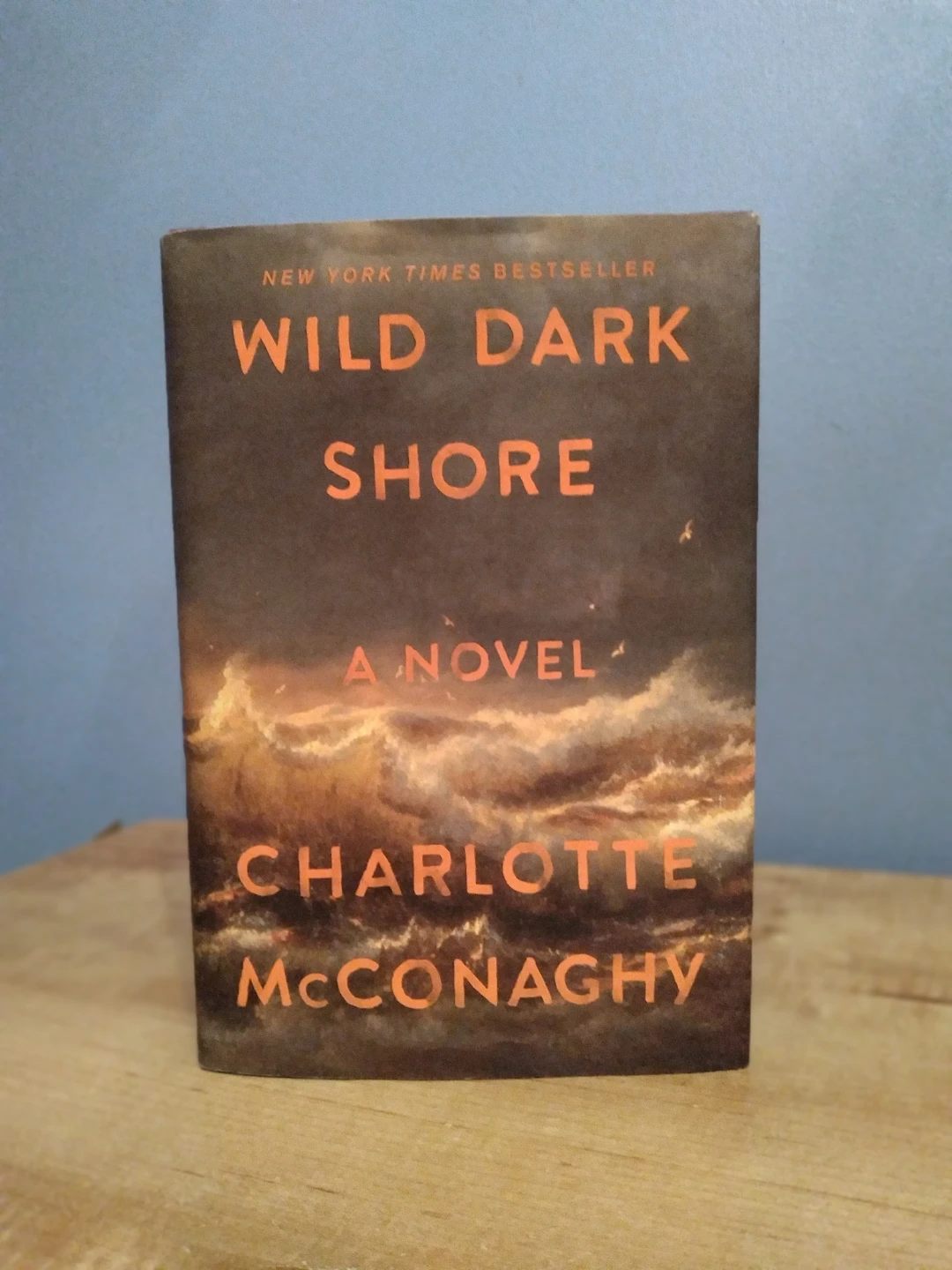 Wild Dark Shore: A Novel by Charlotte McConaghy