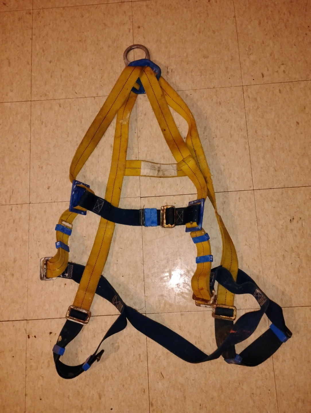 Workhorse Safety Harness