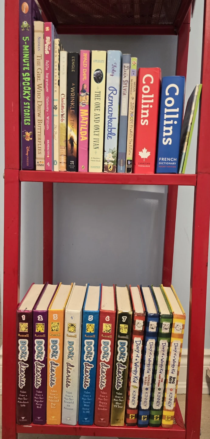 Kids/Middle School Books - Dork Diaries, Wimpy Kid, Classics