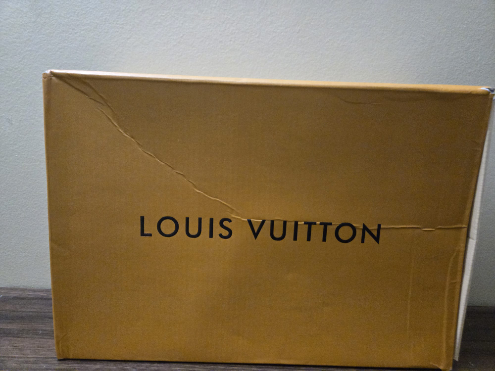 Louis Vuitton LV Arch Light Sneaker White/Black Size 44