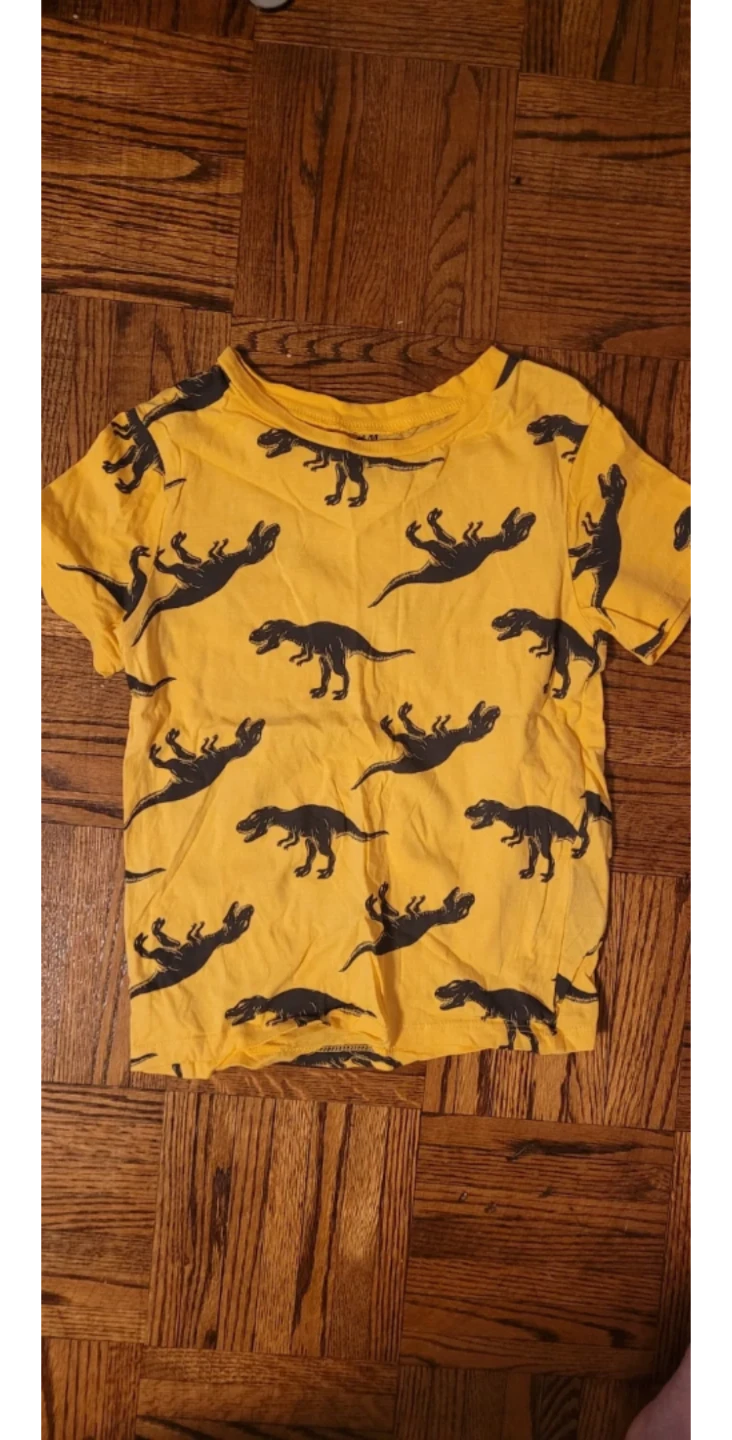Carter's Swim Trunks and Clothes 4T
