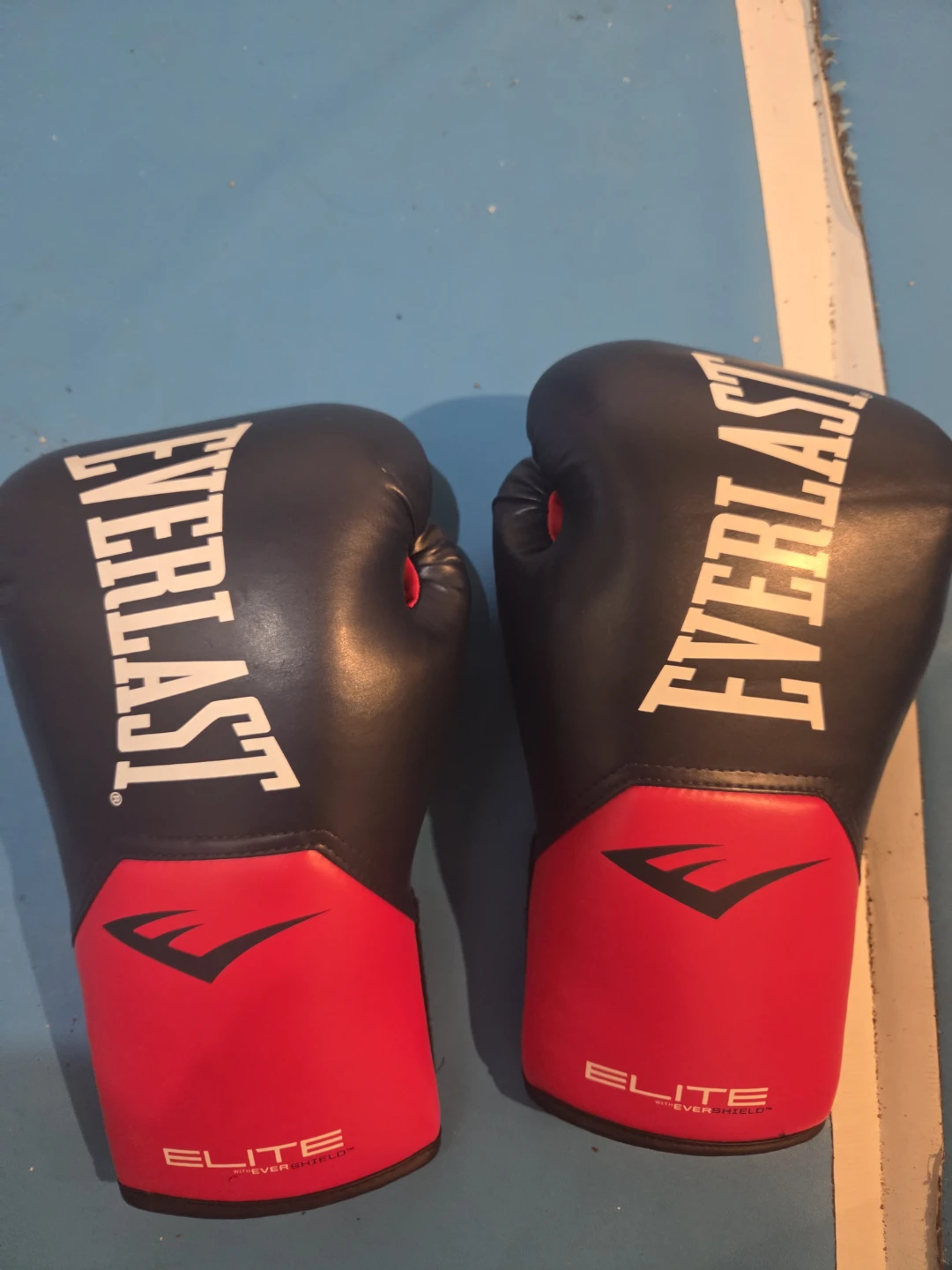 Everlast Elite Boxing Gloves