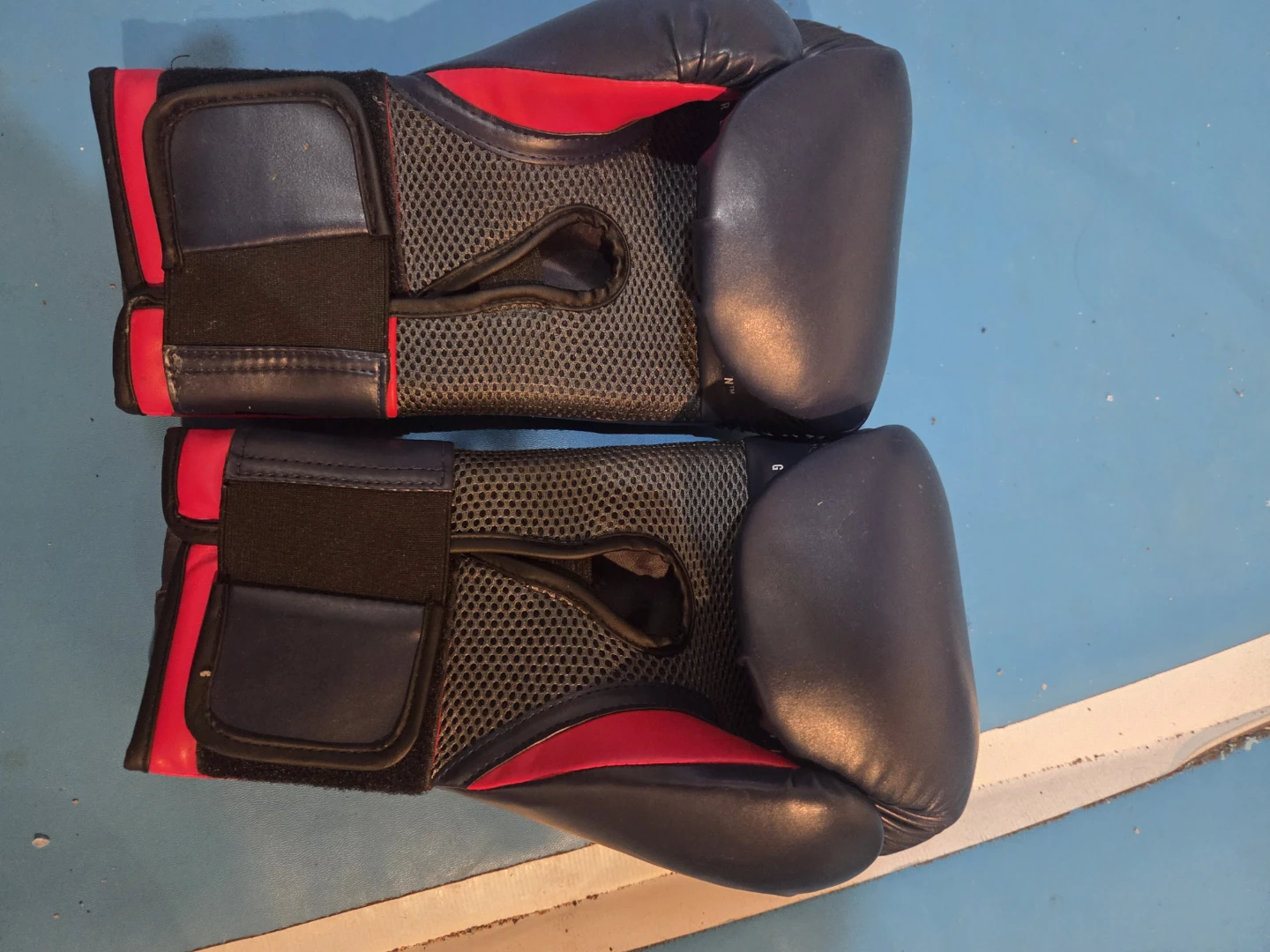 Everlast Elite Boxing Gloves - photo 2