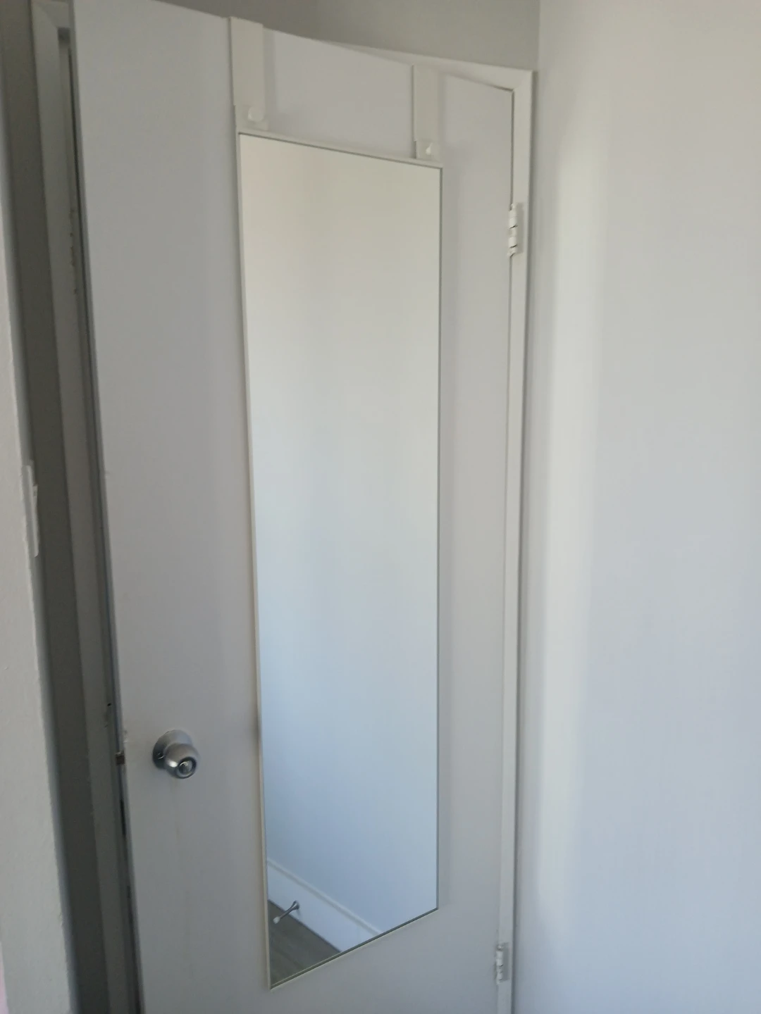 Door Mounted Mirror