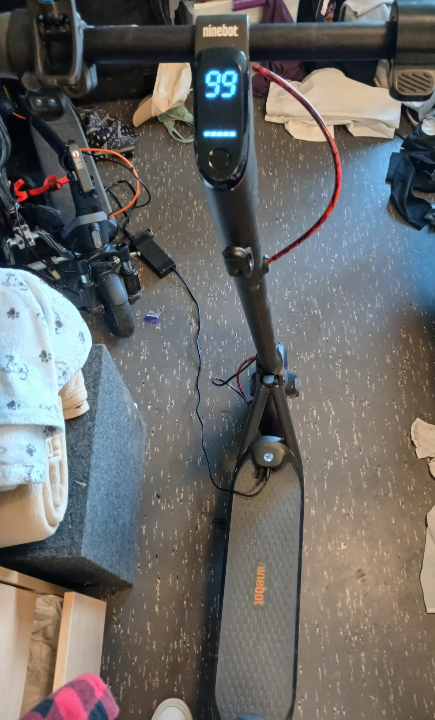 Ninebot Electric Scooter