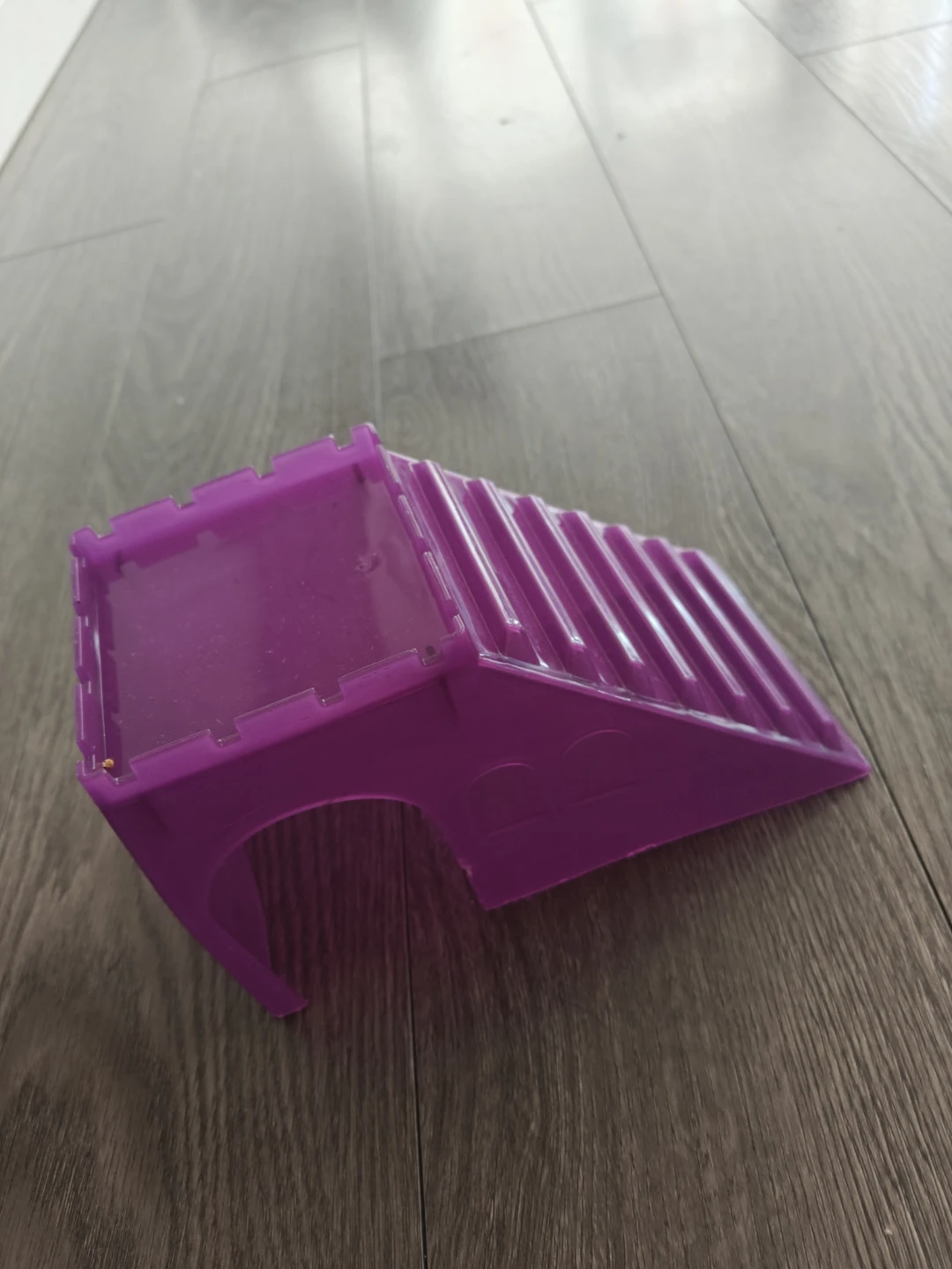 Purple Hamster Hideout Tunnel and Ramp