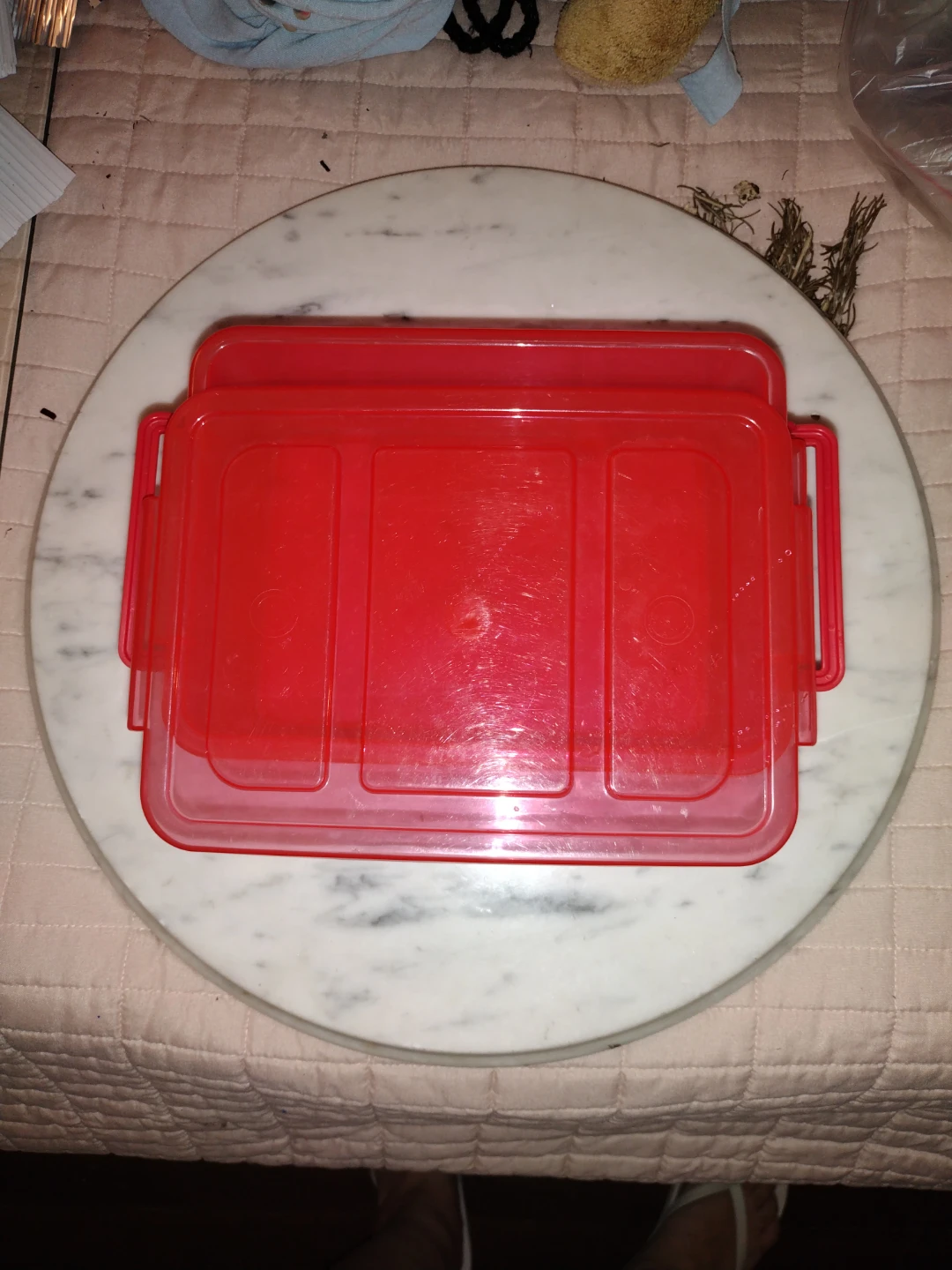 Red Plastic Food Storage Container with Lid 1.6 Qt - photo 5