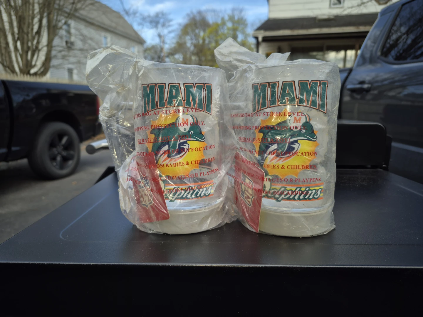 Miami Dolphins Tumblers (Set of 2) - photo 2