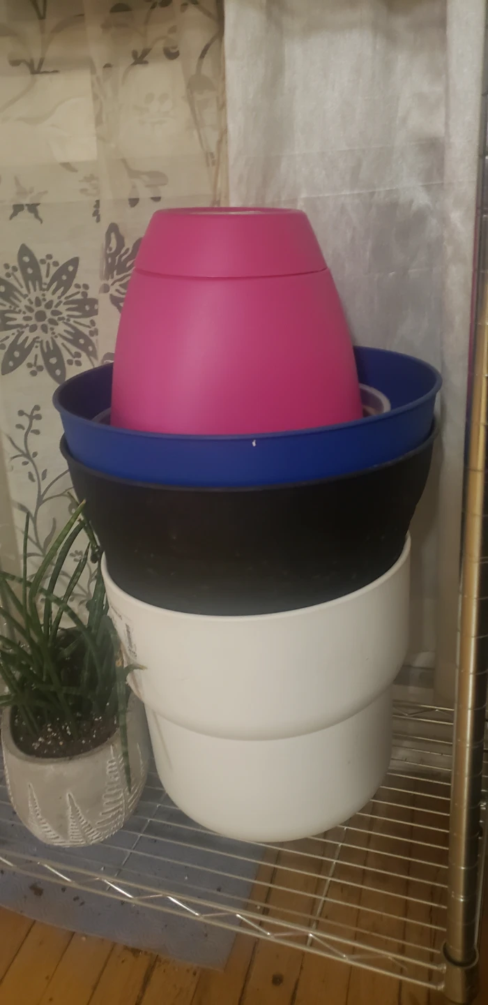 Assorted Plastic Plant Pots! $10 each