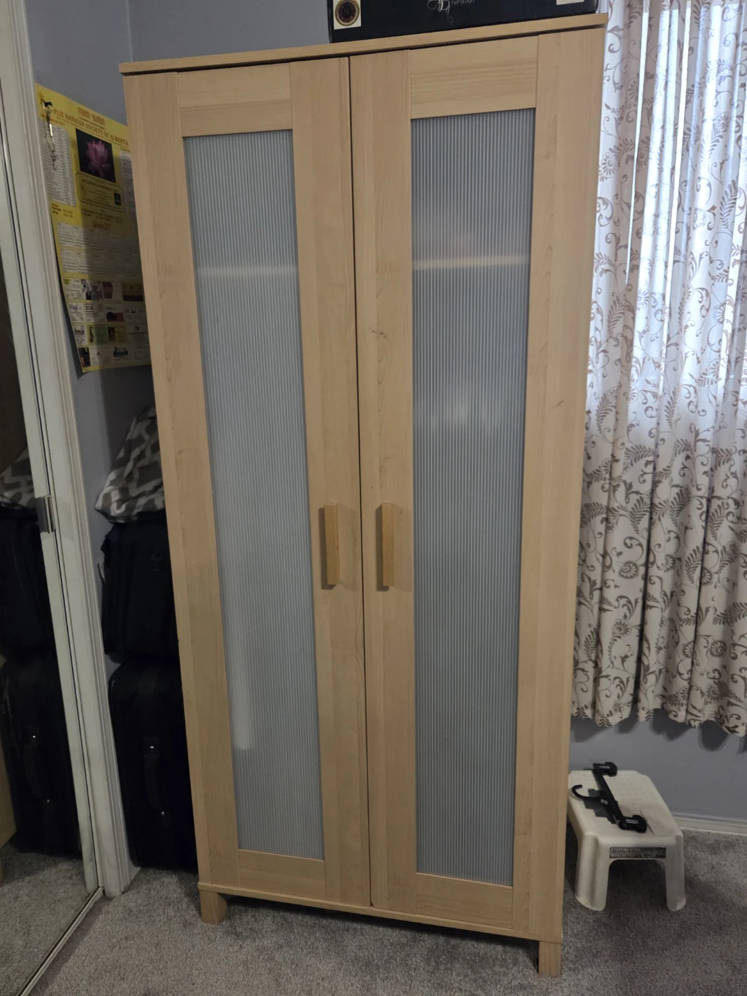 Wood Wardrobe with Frosted Glass Doors