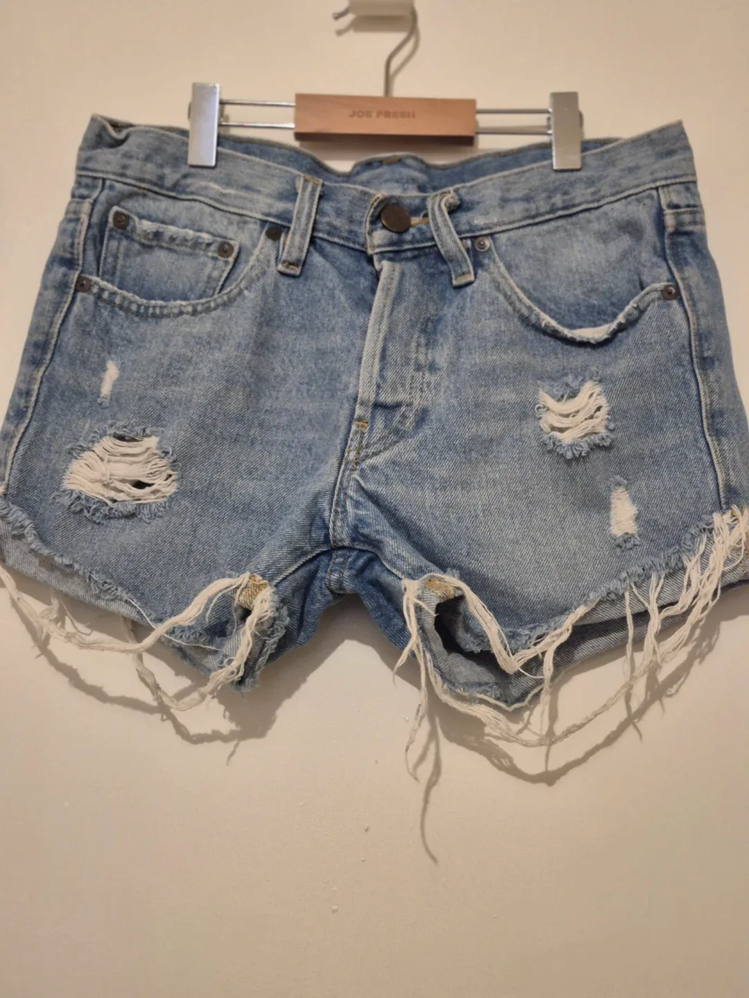 BDG Denim Distressed Cutoff Shorts Size 24