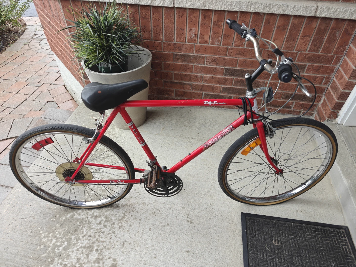 Free Mountain Bike