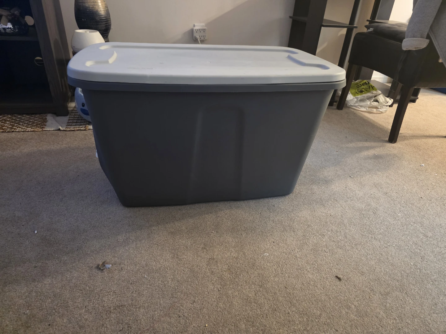 Storage Bins