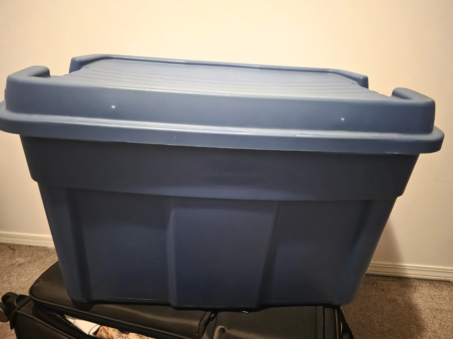Storage Bins - photo 3