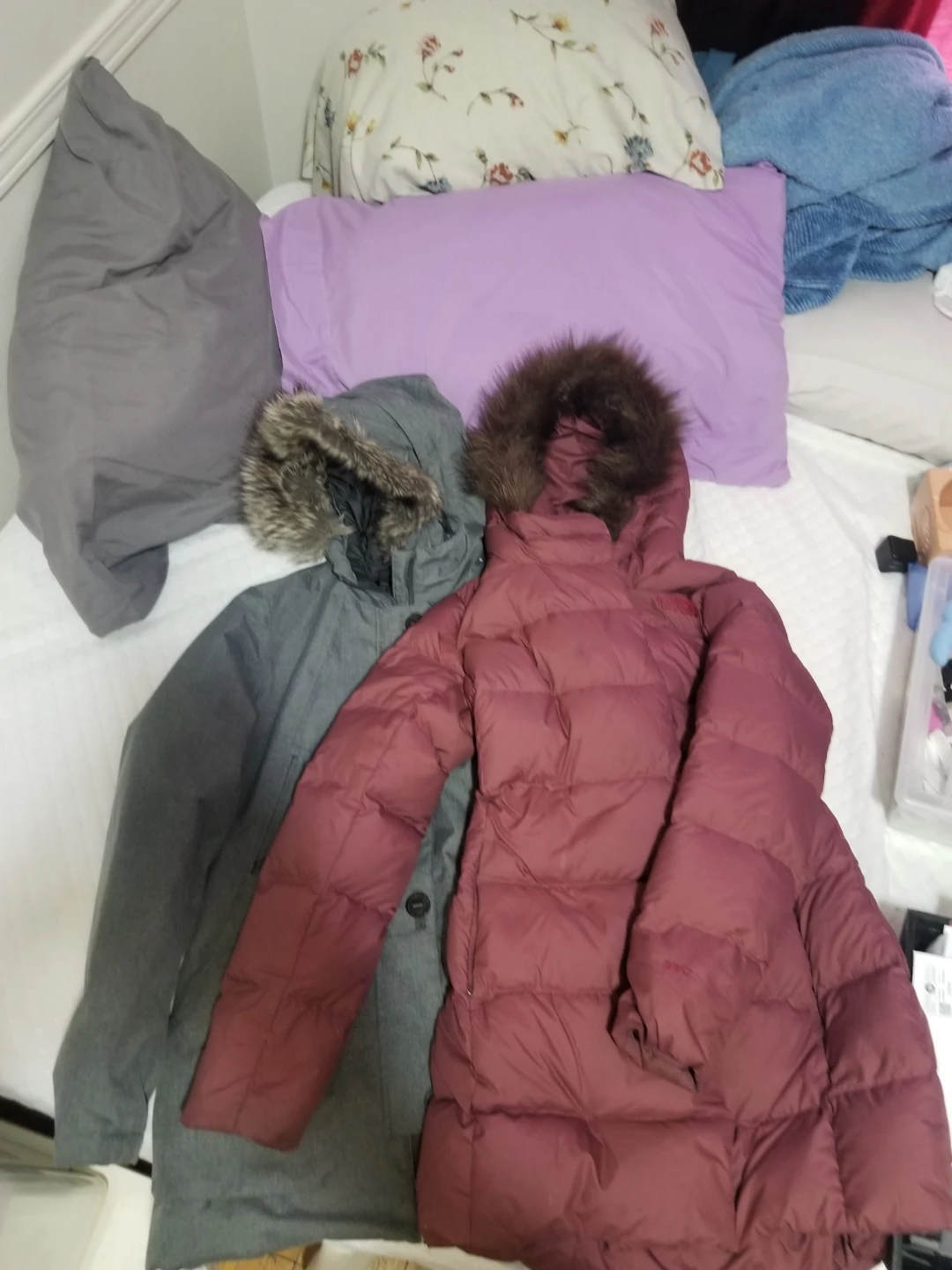 Bundle of two puffer jackets