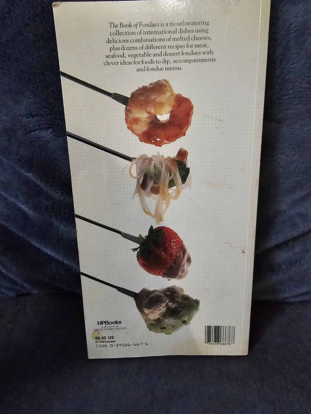 The Book of Fondues Cookbook by Lorna Rhodes - photo 3