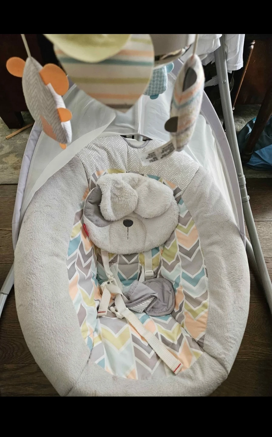 Fisher-Price Baby Swing - photo 5