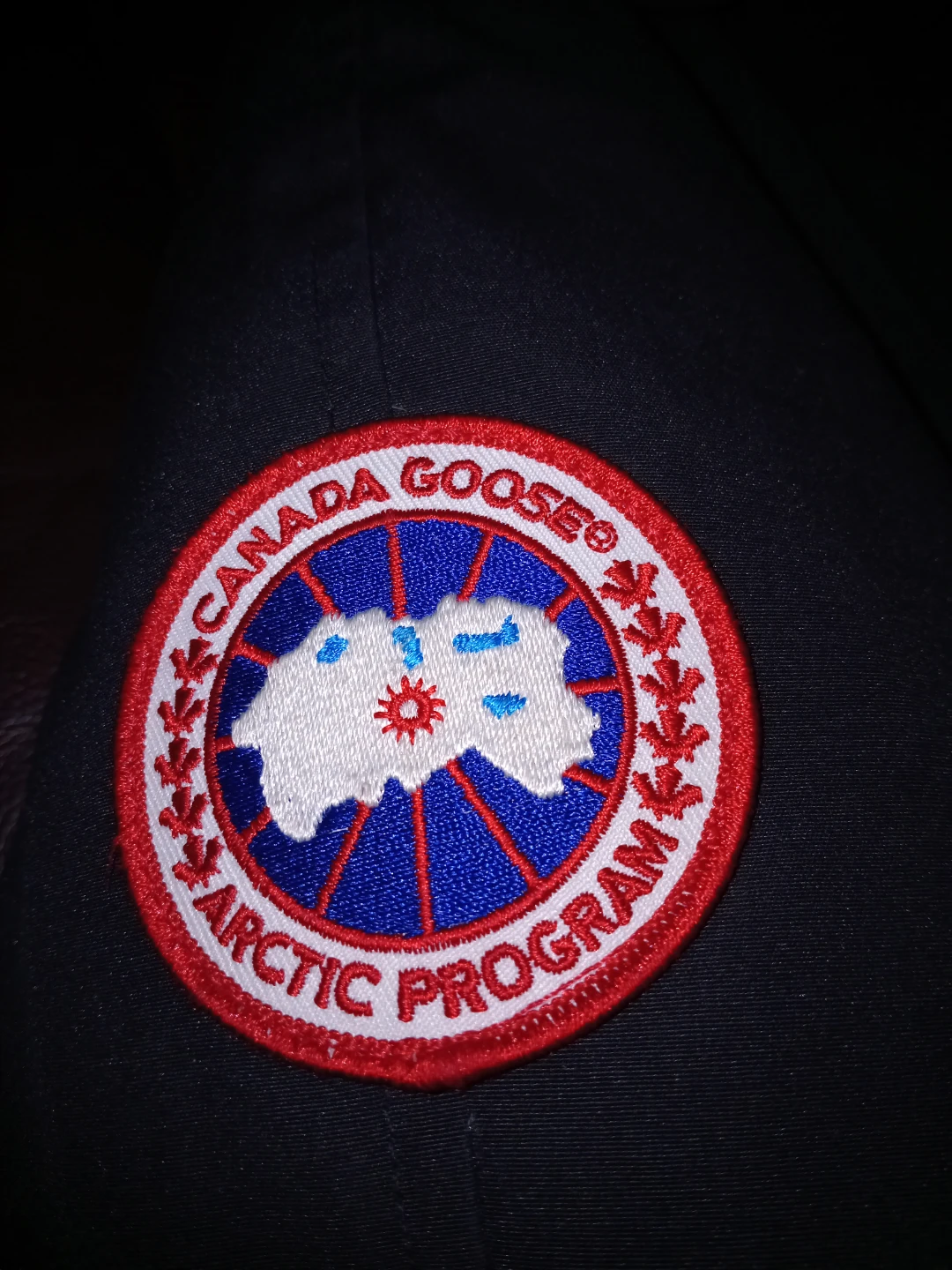 Canada Goose Arctic Program Parka - Black - photo 2