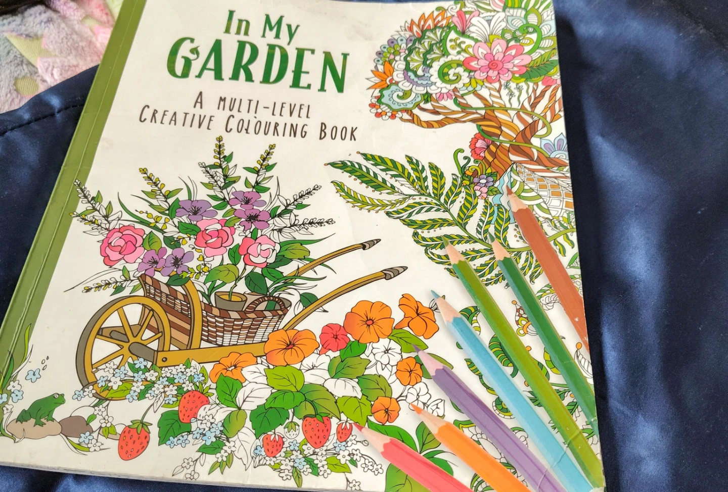 In My Garden Creative Colouring Book🌱