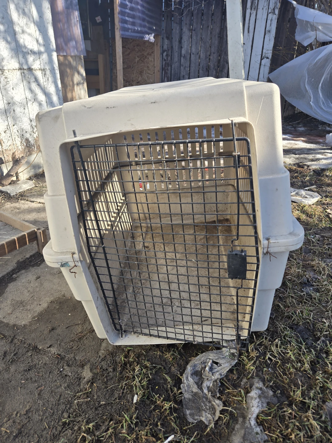 Large dog kennel/crate - photo 3