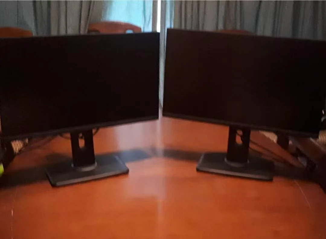 Dell P2422H Flat Panel Monitor