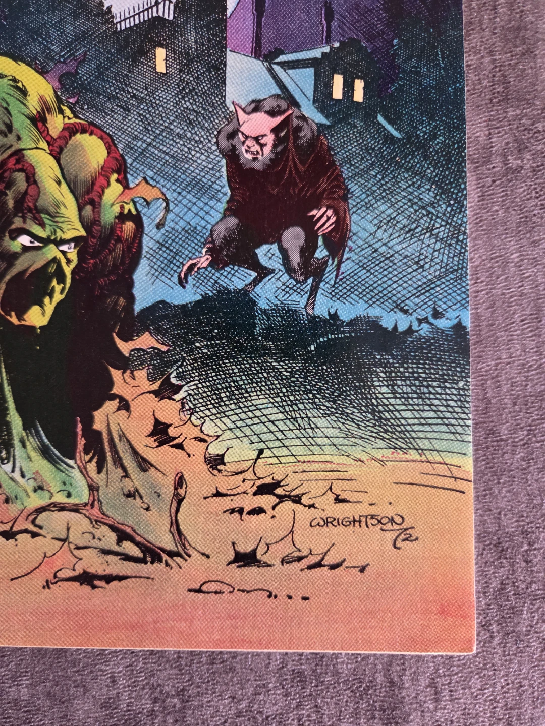 DC Comics Swamp Thing #4 - photo 2