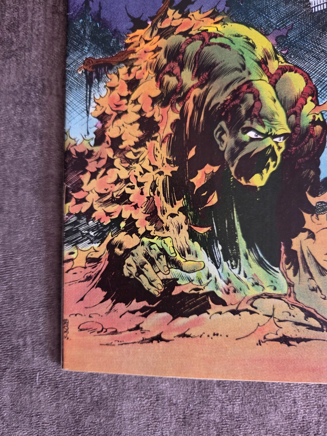 DC Comics Swamp Thing #4 - photo 3