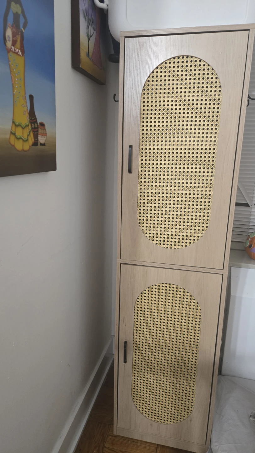 Tall Storage Cabinet with Cane Doors - photo 2